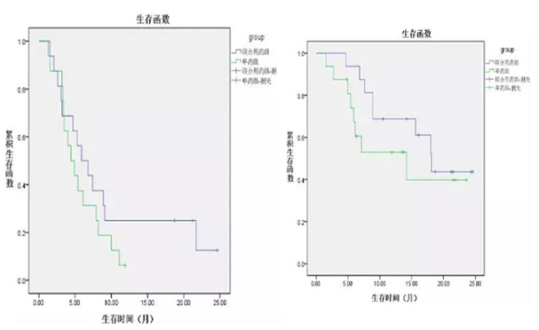 CTL细胞免疫治疗(图1)