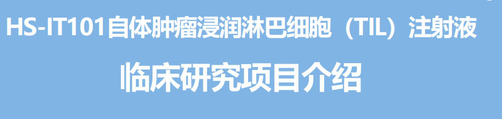 HS-IT101临床试验 HS-IT101临床试验