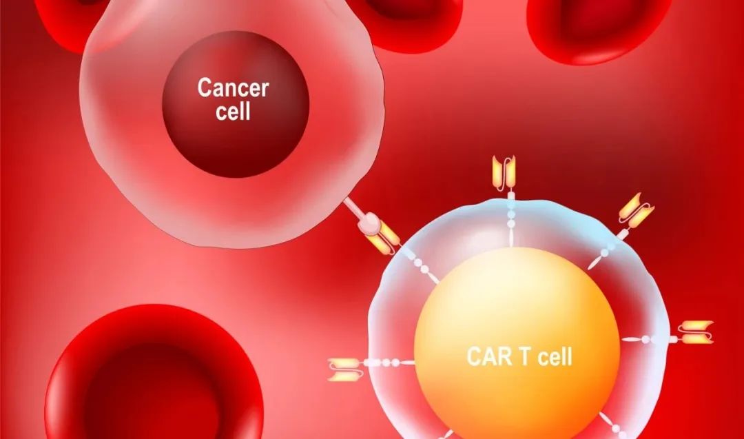 CAR-T疗法原理