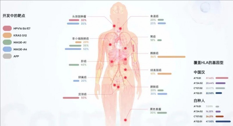 早期TCR-T疗法覆盖的癌种及其对应靶点