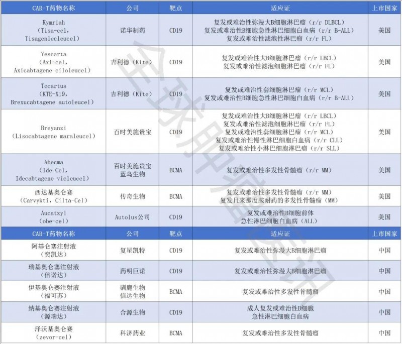 中美两国已经获批上市的CAR-T疗法