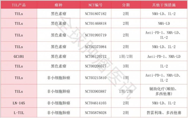 TIL细胞疗法临床试验