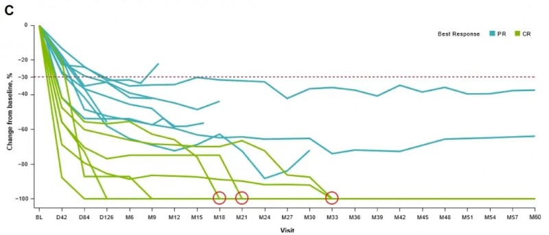 Lifileucel治疗黑色素瘤的持久疗效
