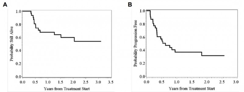 TIL细胞疗法治疗黑色素瘤的数据