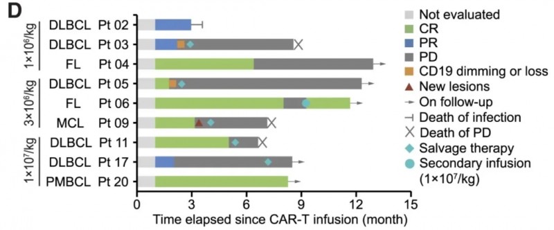 CART细胞疗法治疗难治性淋巴瘤的数据