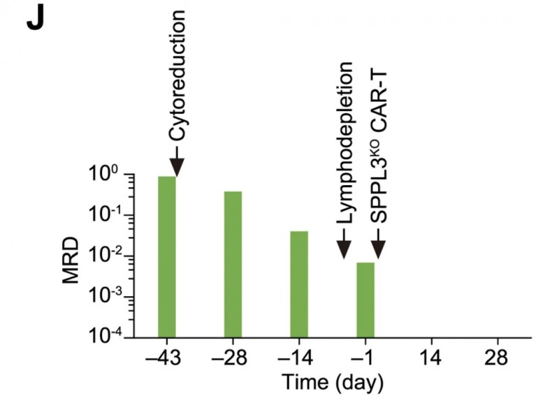 CART细胞疗法治疗白血病的数据