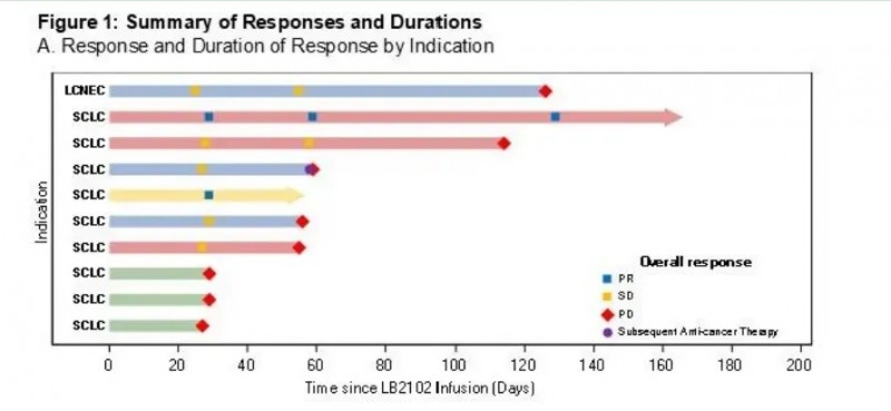 CART细胞疗法治疗小细胞肺癌的数据