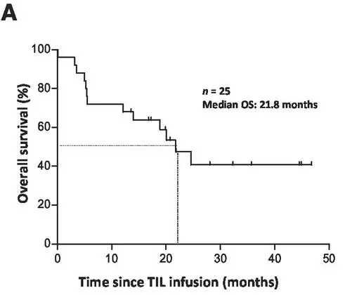 TIL细胞疗法联合低剂量白介素2治疗黑色塑料的生存期数据
