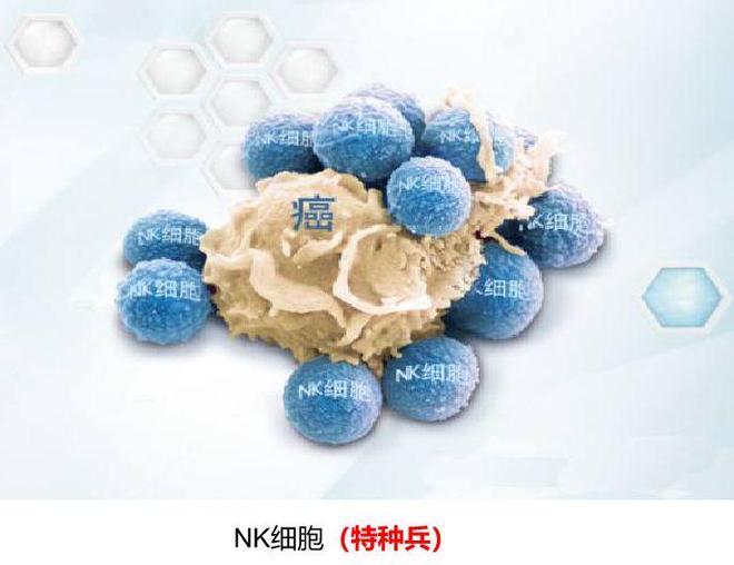 NK细胞正在攻击癌细胞
