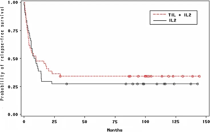 TIL细胞联合疗法治疗黑色素瘤的无病生存期