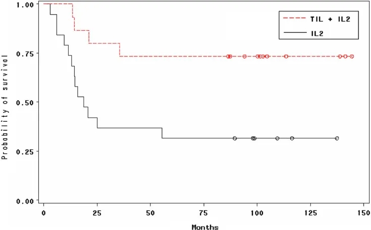 TIL细胞疗法联合治疗黑色素瘤的生存率