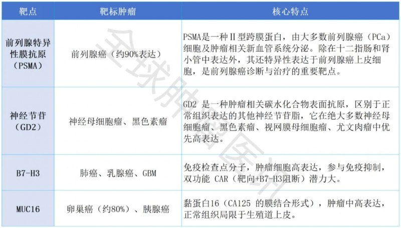 其他重要靶点的CART细胞疗法