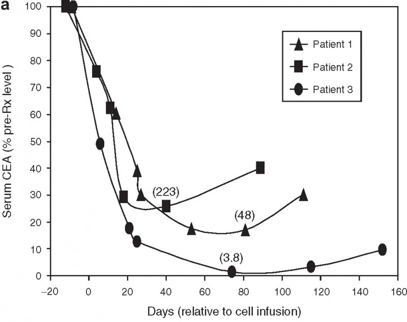 靶向CEA的TCR-T细胞疗法治疗转移性结直肠癌的数据