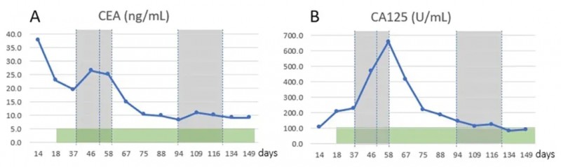 DC细胞联合NK细胞治疗卵巢癌身体指标的变化