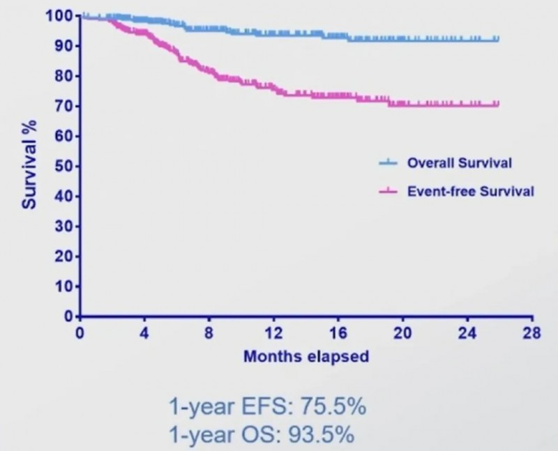 双靶点CART细胞疗法的质量数据