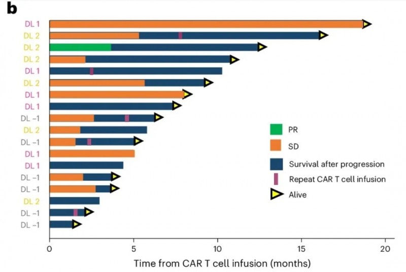 双靶点CART细胞疗法治疗胶质瘤的数据