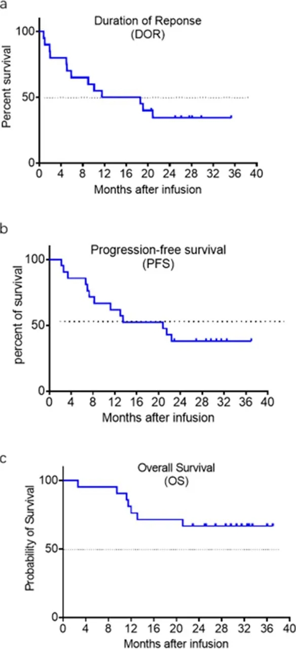 BRL-201治疗淋巴瘤的缓解时间