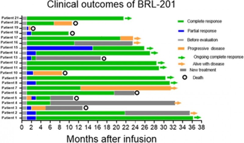 BRL-201治疗淋巴瘤的缓解率