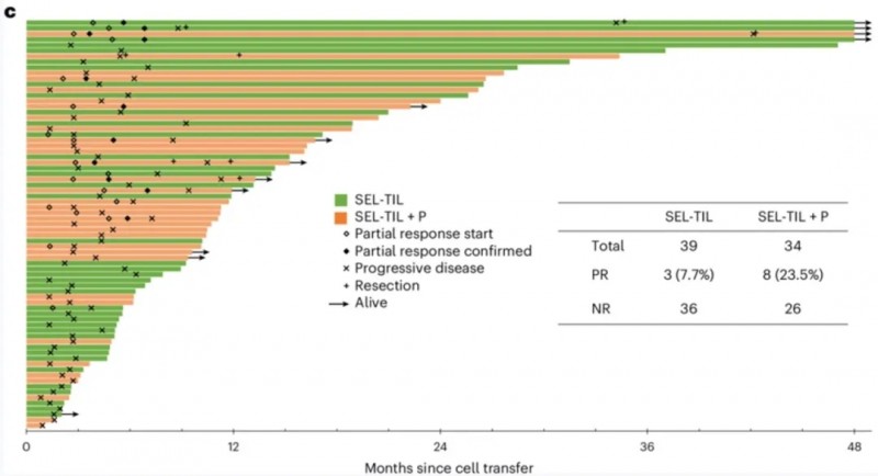 SEL-TIL联合PD-1治疗胃癌的数据
