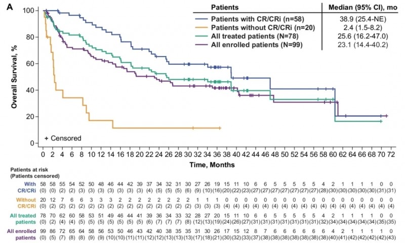 布瑞基奥仑赛治疗数据