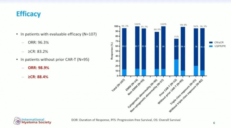 伊基奥仑赛治疗缓解率数据