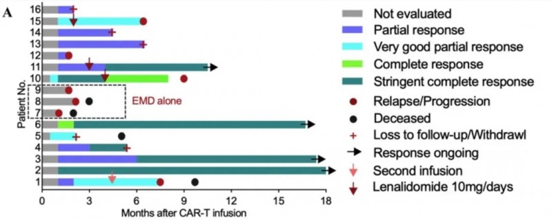 SA102 CAR-T治疗数据