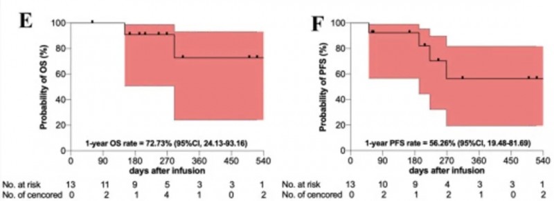 SA102 CAR-T缓解数据