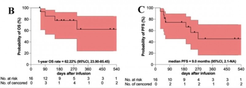 SA102双靶点CAR-T治疗数据