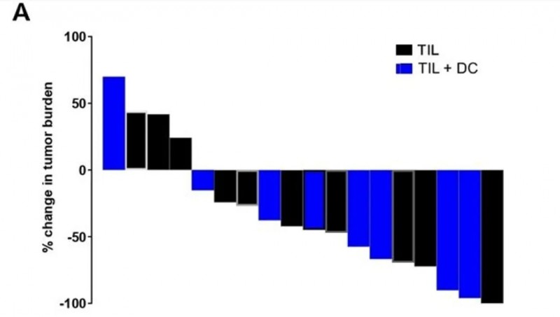 TIL细胞联合DC细胞治疗黑色素瘤的最佳总体反映瀑布图