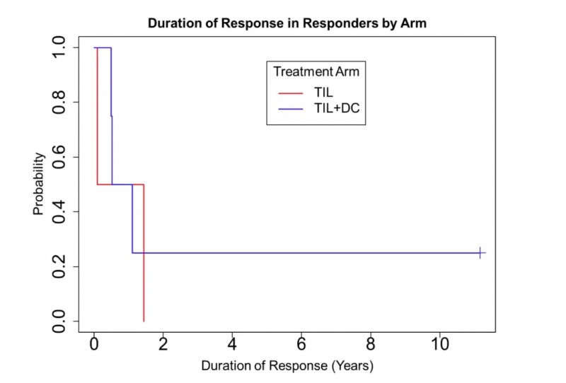 TIL细胞联合DC细胞治疗黑色素瘤的数据