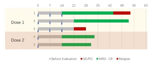CD33 CAR-NK细胞疗法治疗急性髓系白血病的数据