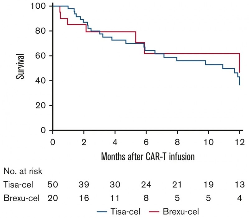 CD19 CAR-T治疗B细胞急性淋巴细胞白血病的无复发生存数据