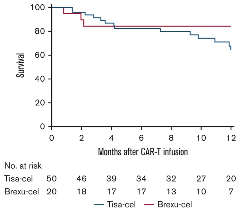 CD19 CAR-T治疗B细胞急性淋巴细胞白血病的总生存数据