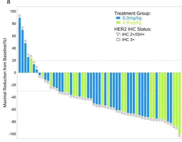 博度曲妥珠单抗治疗数据