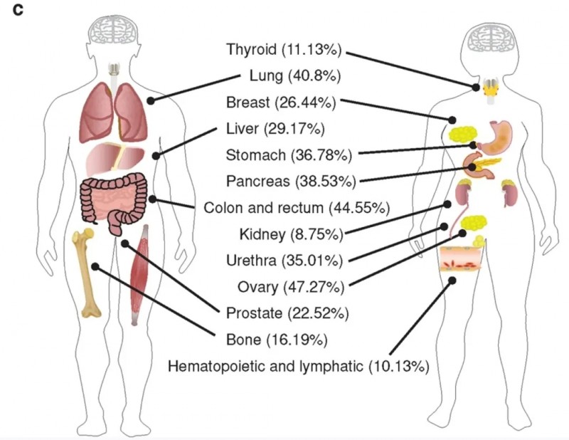 不同组织器官的TP53突变率