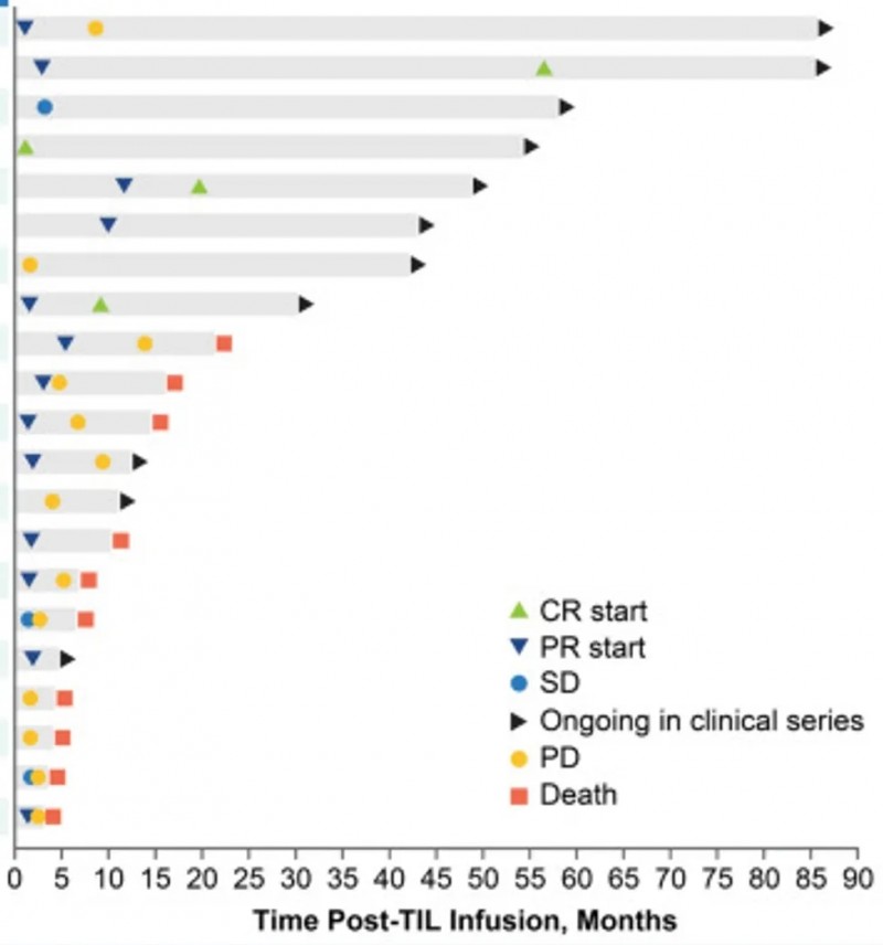 TIL细胞疗法治疗黑色素瘤的数据