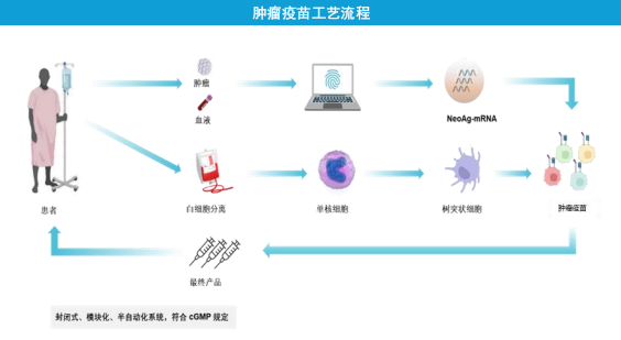 mRNA疫苗的制备流程