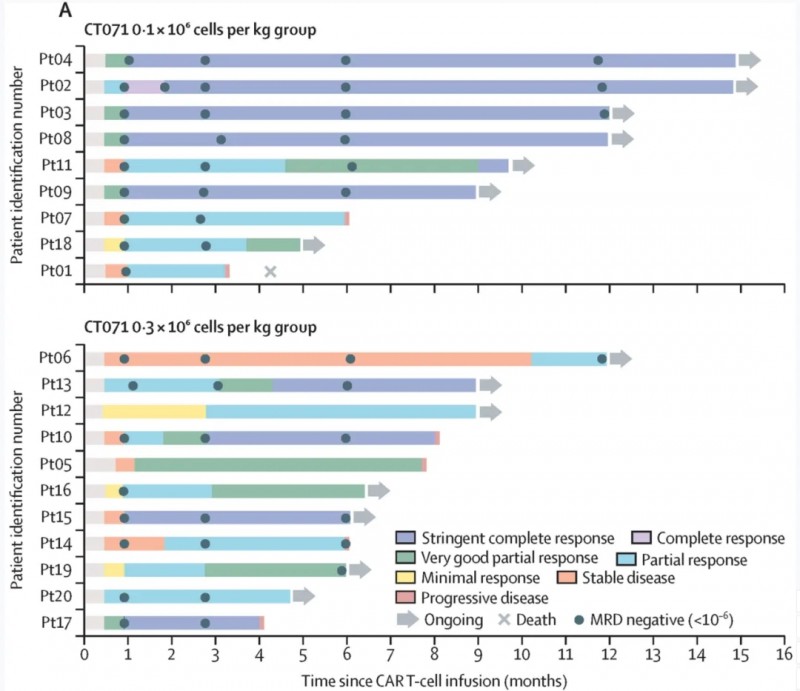 CT071治疗多发性骨髓瘤的数据
