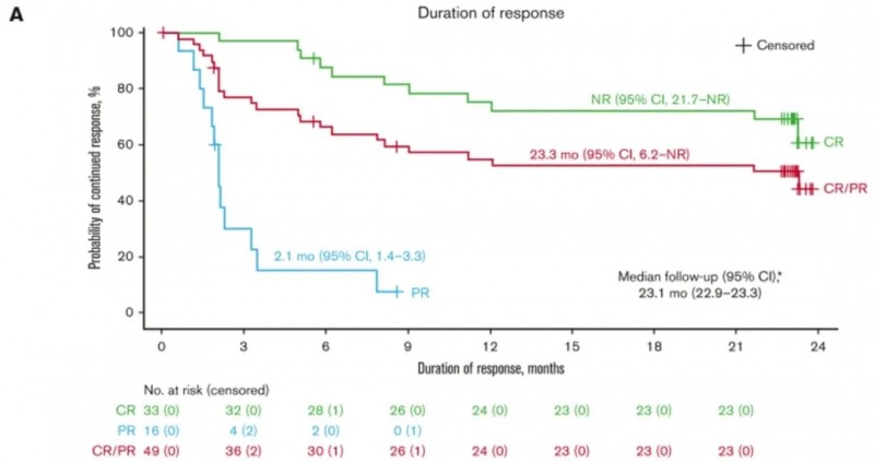 liso-cel CAR-T治疗淋巴瘤的中位缓解持续时间