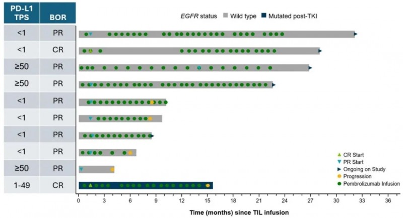 Lifileucel疗法治疗肺癌的数据