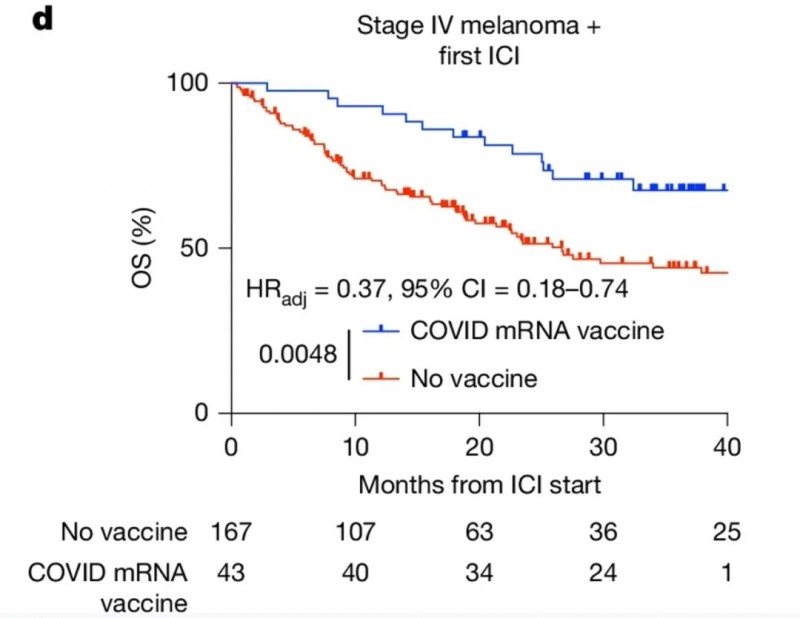 mRNA疫苗治疗黑色素瘤的数据