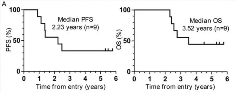 WT1-DC疫苗治疗胰腺癌的数据