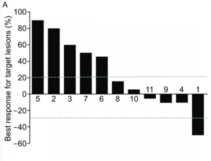 CAR-T-HER2细胞疗法治疗数据