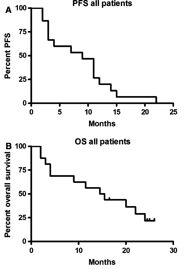 NK细胞疗法治疗非小细胞肺癌的数据