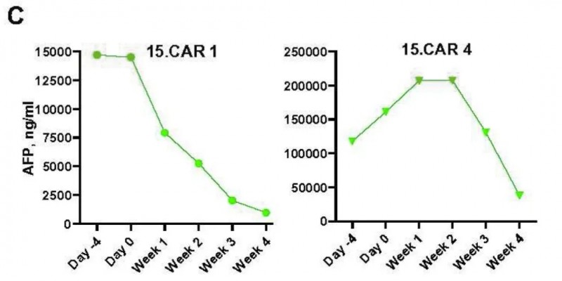 GPC3-CAR-T治疗数据
