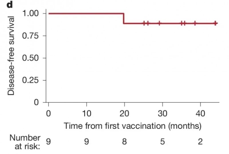 个性化疫苗治疗肾癌的数据