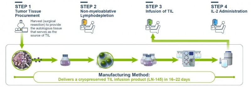 TIL细胞疗法治疗流程