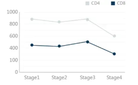 TIL细胞数量的变化