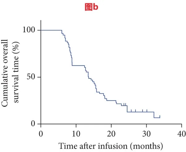 TIL细胞疗法联合PD-1治疗骨肉瘤的中位总生存期