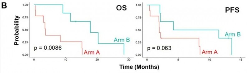 PD-1抑制剂联合疗法的治疗数据